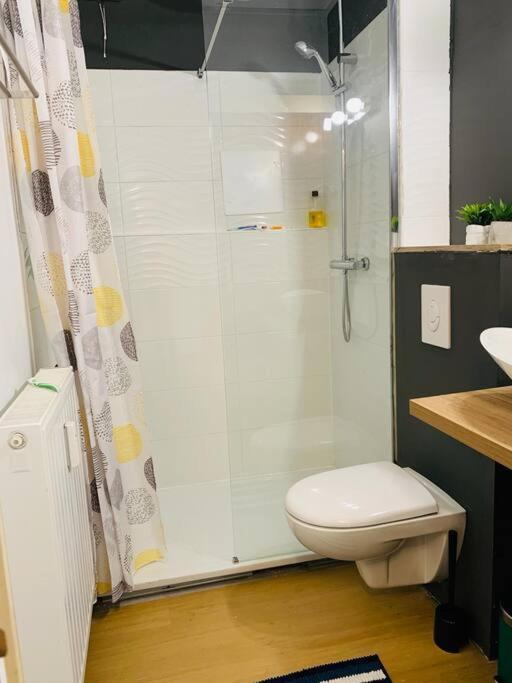 Appartement Tres Proche Mediacite - Centre Ville Liège Dış mekan fotoğraf
